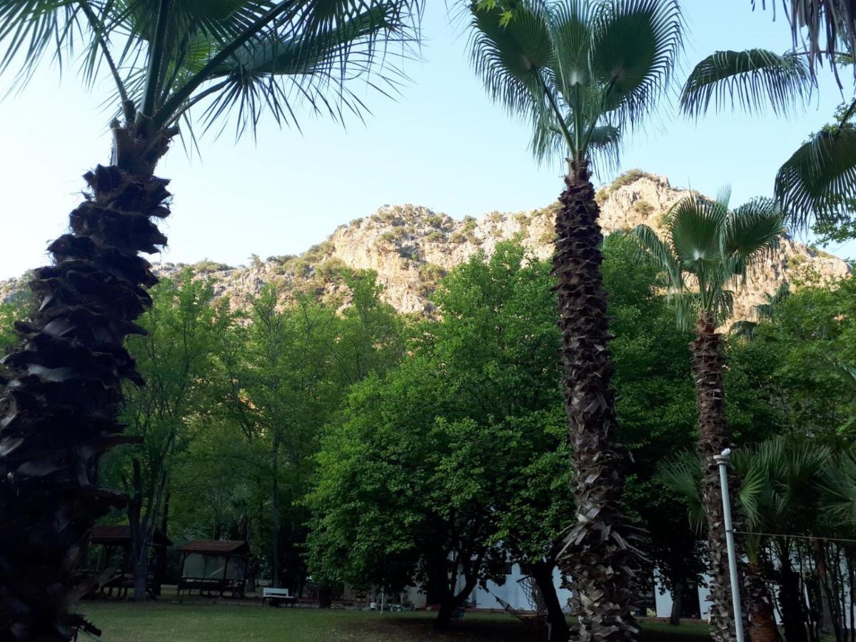 çirali Campıng * Antalya